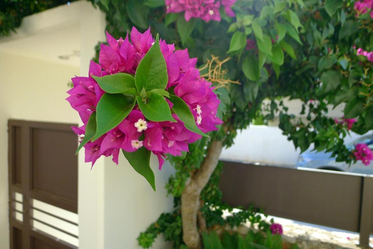 Maria & Manos Guest House, Agios Onoufrios Beach Luaran gambar